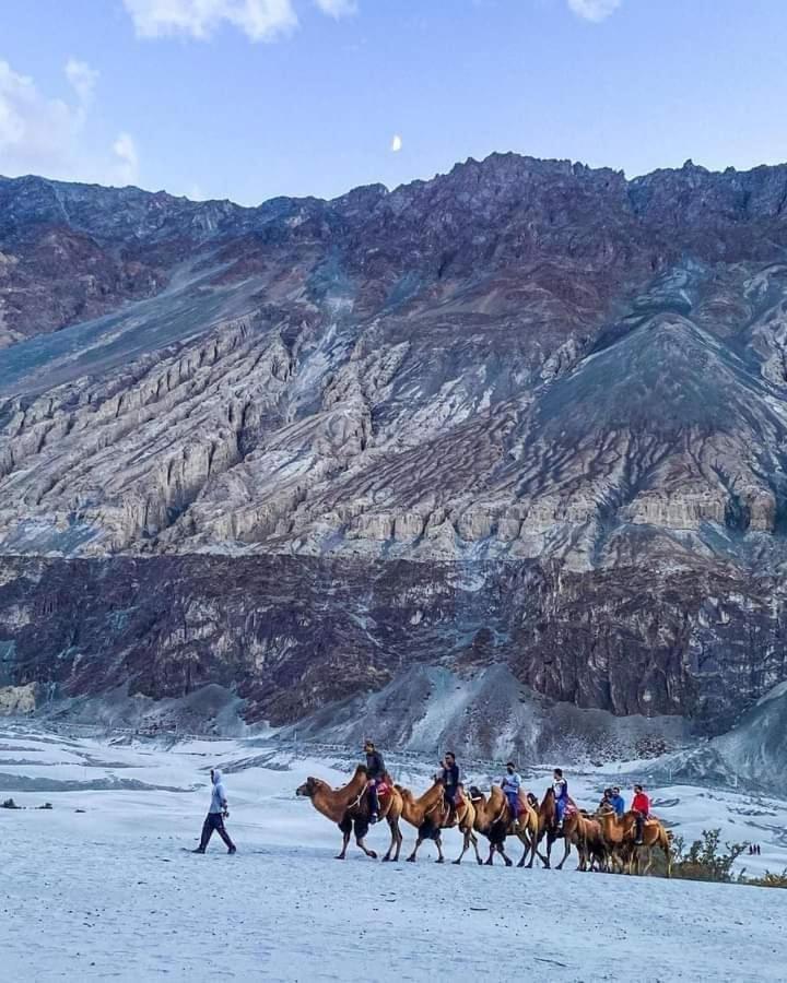 Hotel Nubra Residency Charasa Bagian luar foto